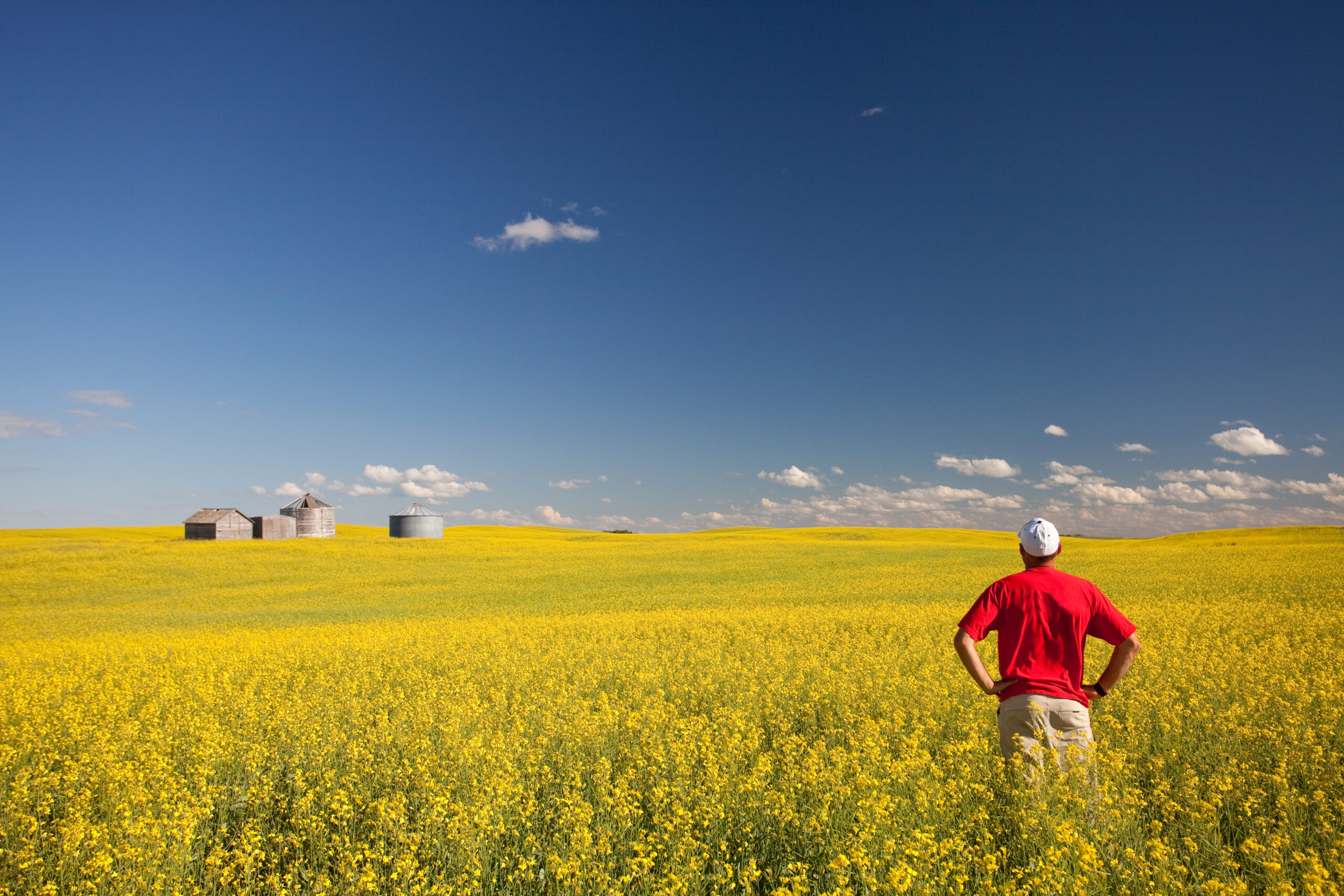 Le Canada Pourrait Il Tirer Profit Des Changements Climatiques