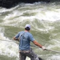 Cliff Wale fishing for sockeye in Gitxsan territory, using a traditional dip net.